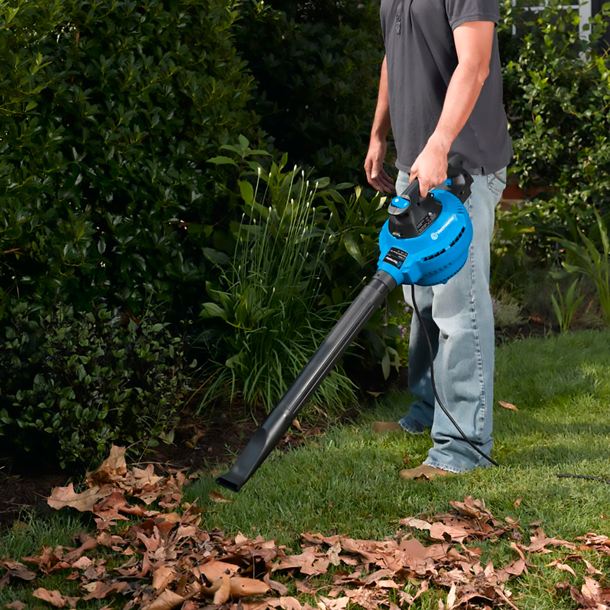 Wet dry store vac for leaves